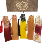 1__3_-removebg-preview